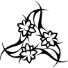Orchidée 5827