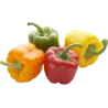 Fruits eau
