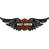 Harley davidson étoile