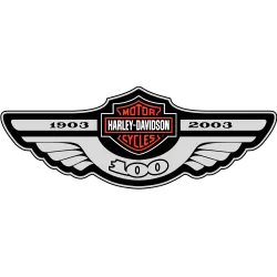 Harley davidson wings