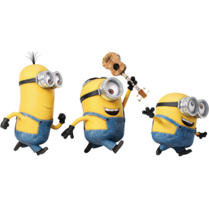 Déco Minion Stupide