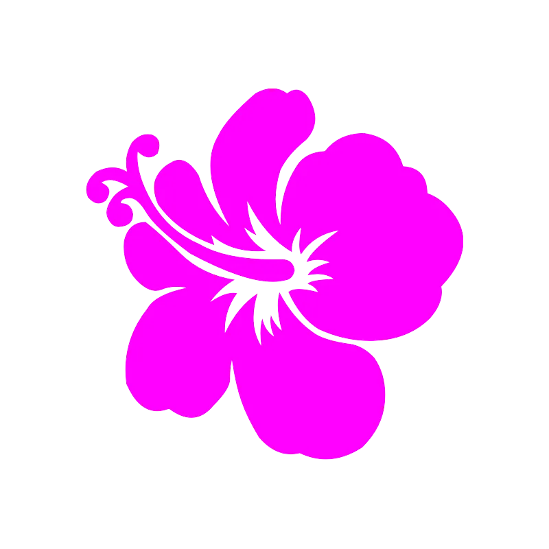 ba hibiscus 4855