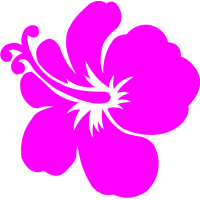 ba hibiscus 4855