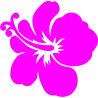ba hibiscus 4855