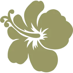 ba hibiscus 4855
