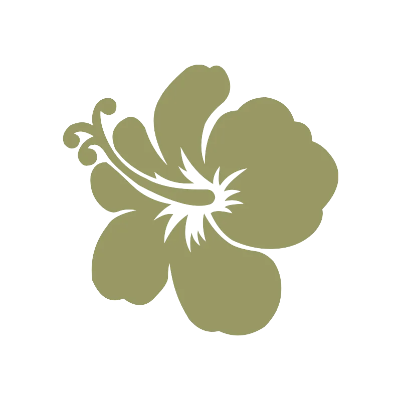 ba hibiscus 4855