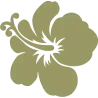 ba hibiscus 4855