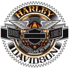 Harley davidson couleur