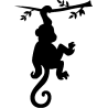 kangourou