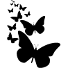 oiseaux sur branche