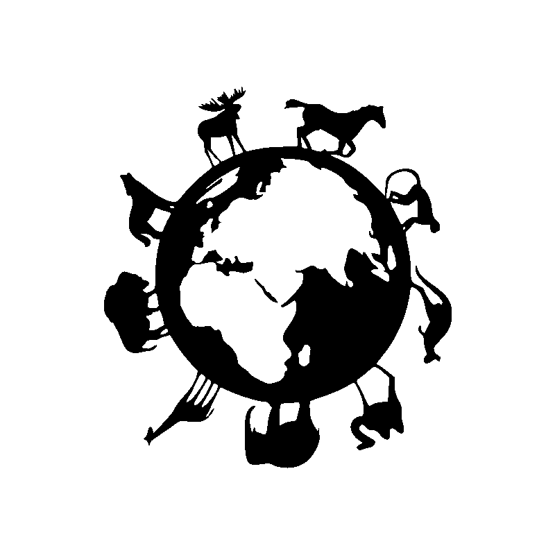 desert chameaux