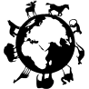 desert chameaux