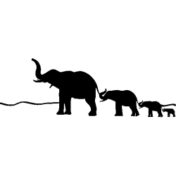 elephants