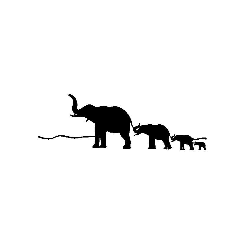 elephants