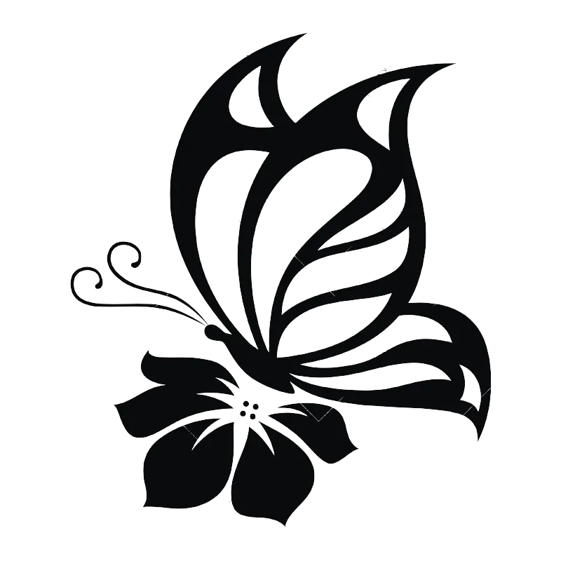 papillon sur hibiscus