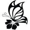 papillon sur hibiscus