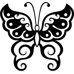 papillon sur hibiscus