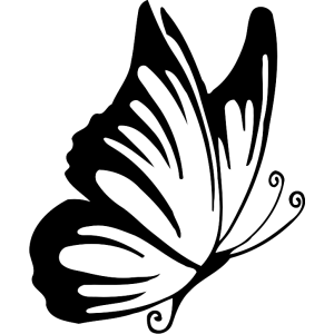 papillon dessin