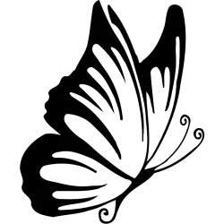 papillon dessin