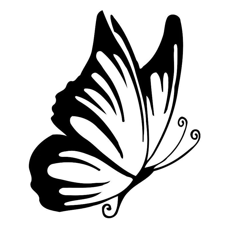 papillon dessin