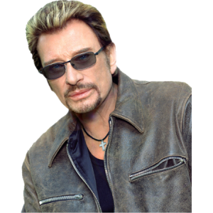 Johnny Hallyday buste