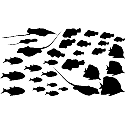 drapeau breton dechiré