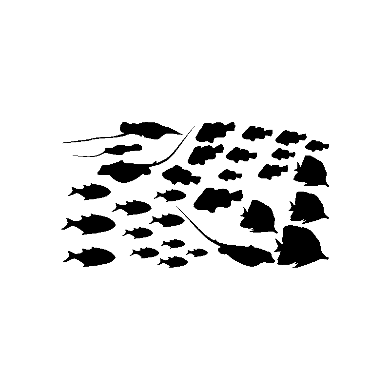 drapeau breton dechiré