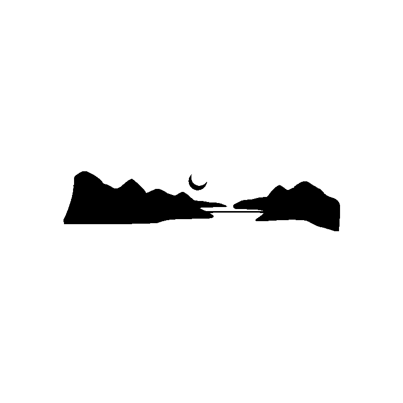 desert chameaux