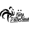 Logo Equipe de France FFF 2 étoiles