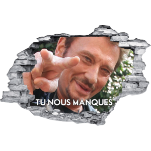 Johnny Hallyday buste