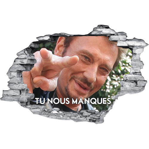 Johnny Hallyday buste