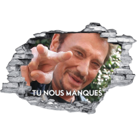 Johnny Hallyday buste