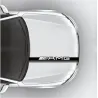 bande amg
