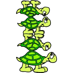 Tortue x4
