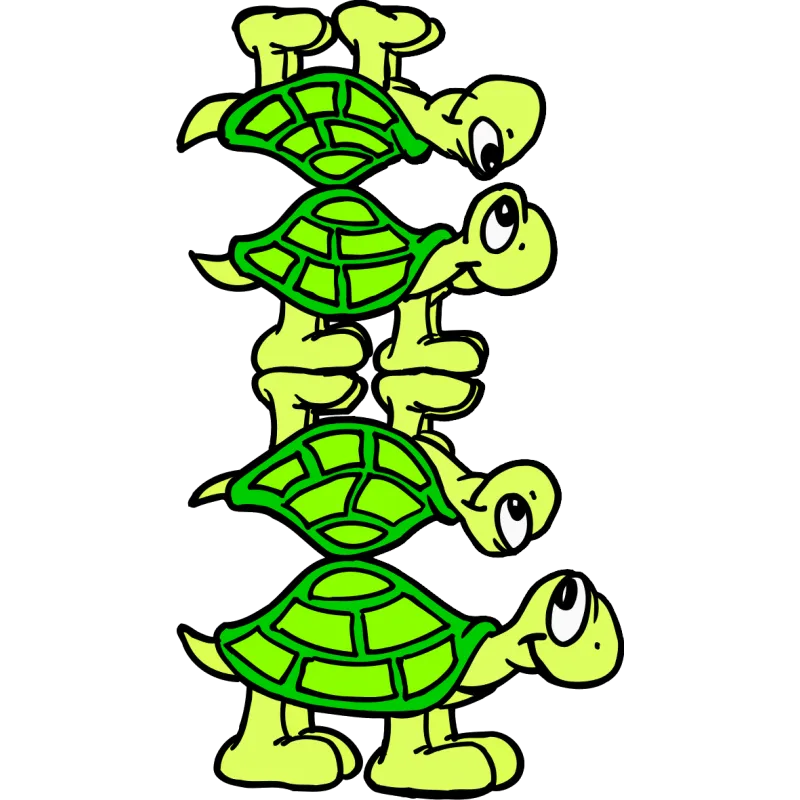 Tortue x4