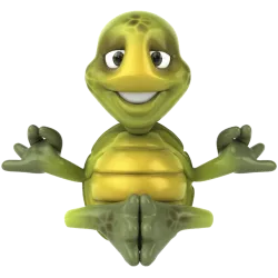 Tortue 2