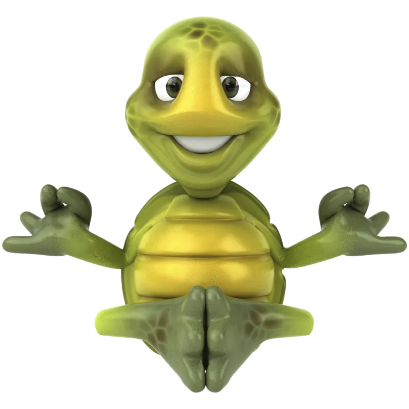 Tortue 2