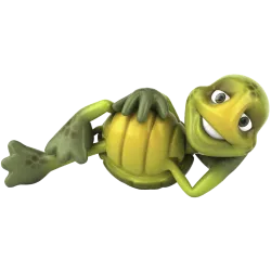 Tortue allongée