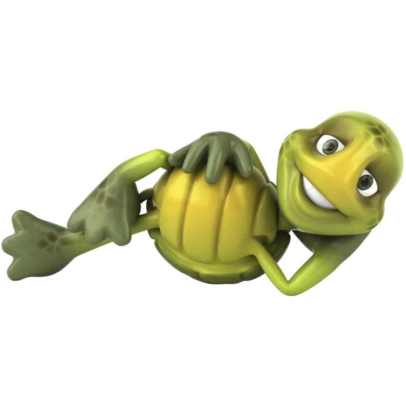 Tortue allongée