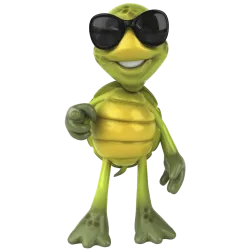 Tortue Lunette