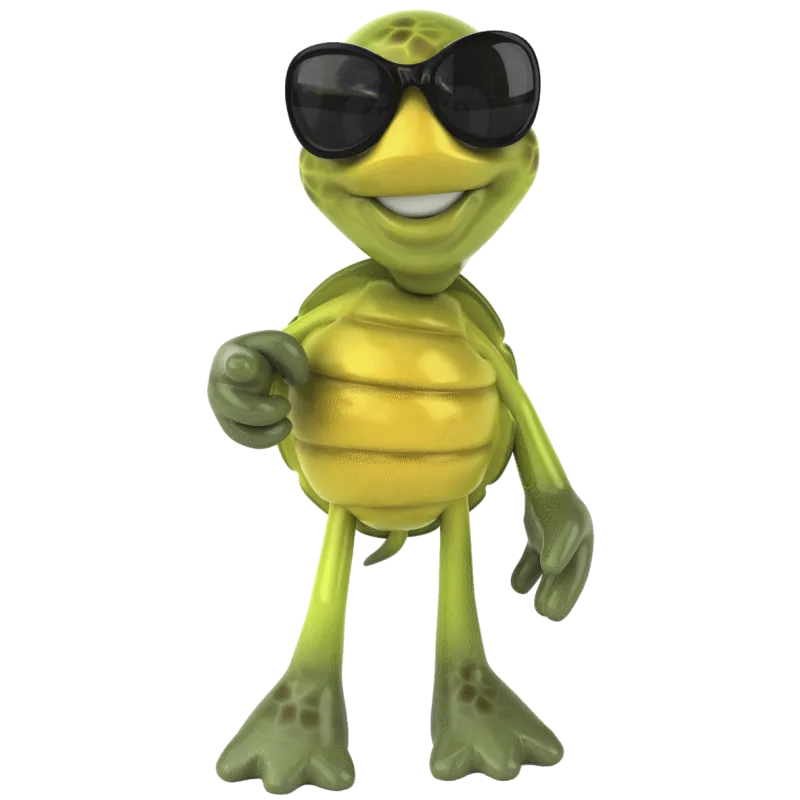 Tortue Lunette
