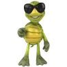 Tortue Lunette