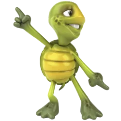 Tortue Danse