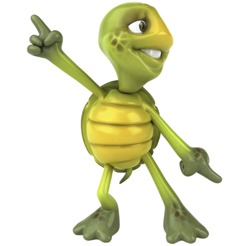 Tortue Danse