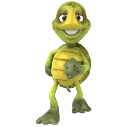 Tortue Marche
