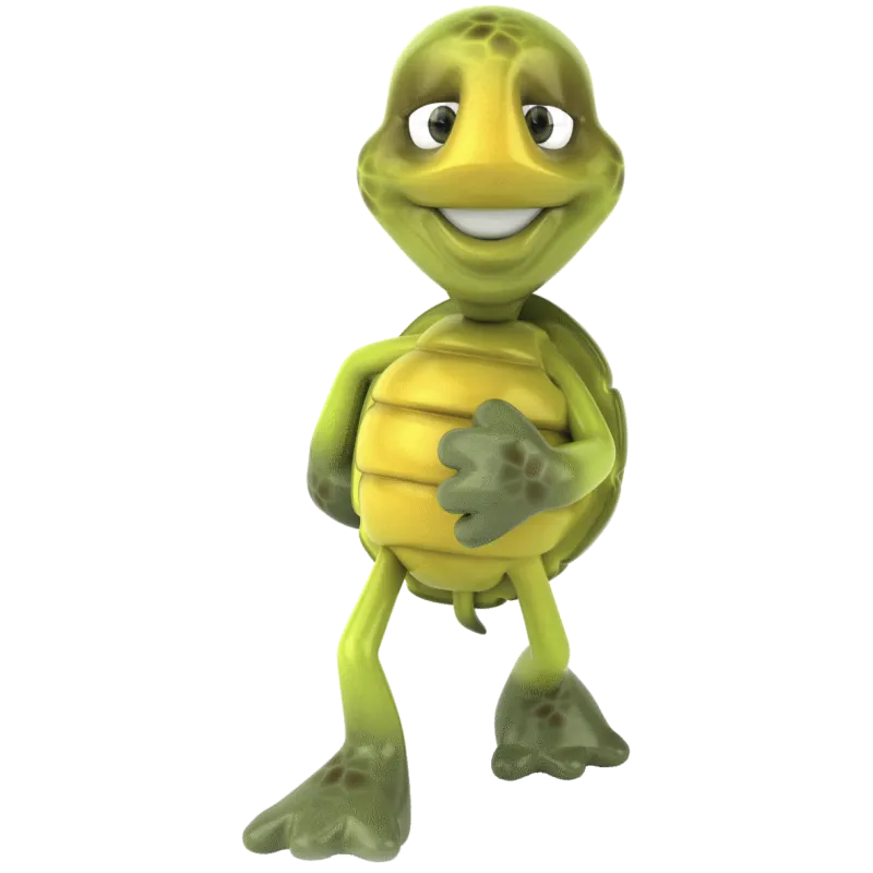 Tortue Marche