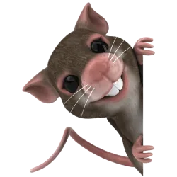Souris 3