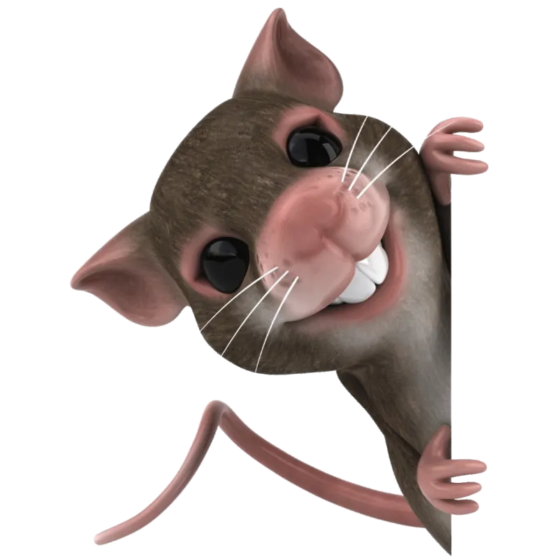 Souris 3