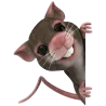 Souris 3