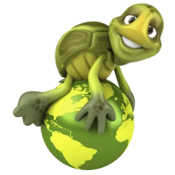 Tortue Monde